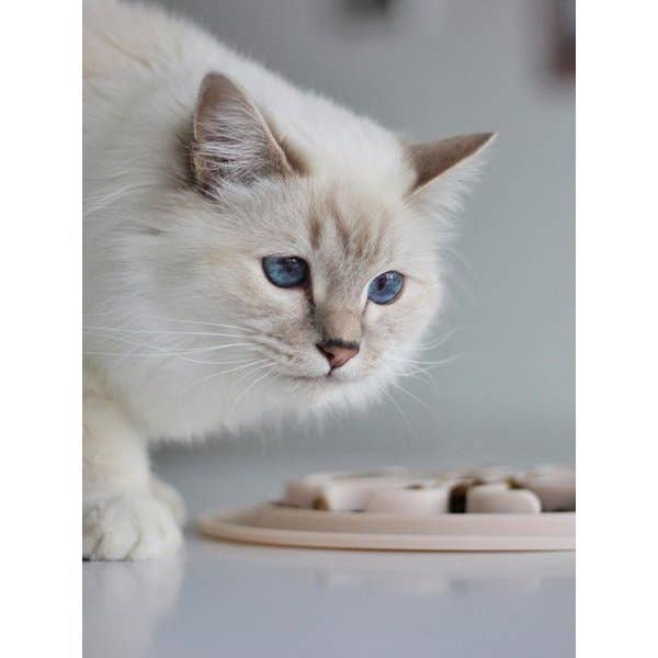 INOOKO - Wholesale Pet Bowl - Cat/Dog - Anti-Glouton Bowl - Sand1