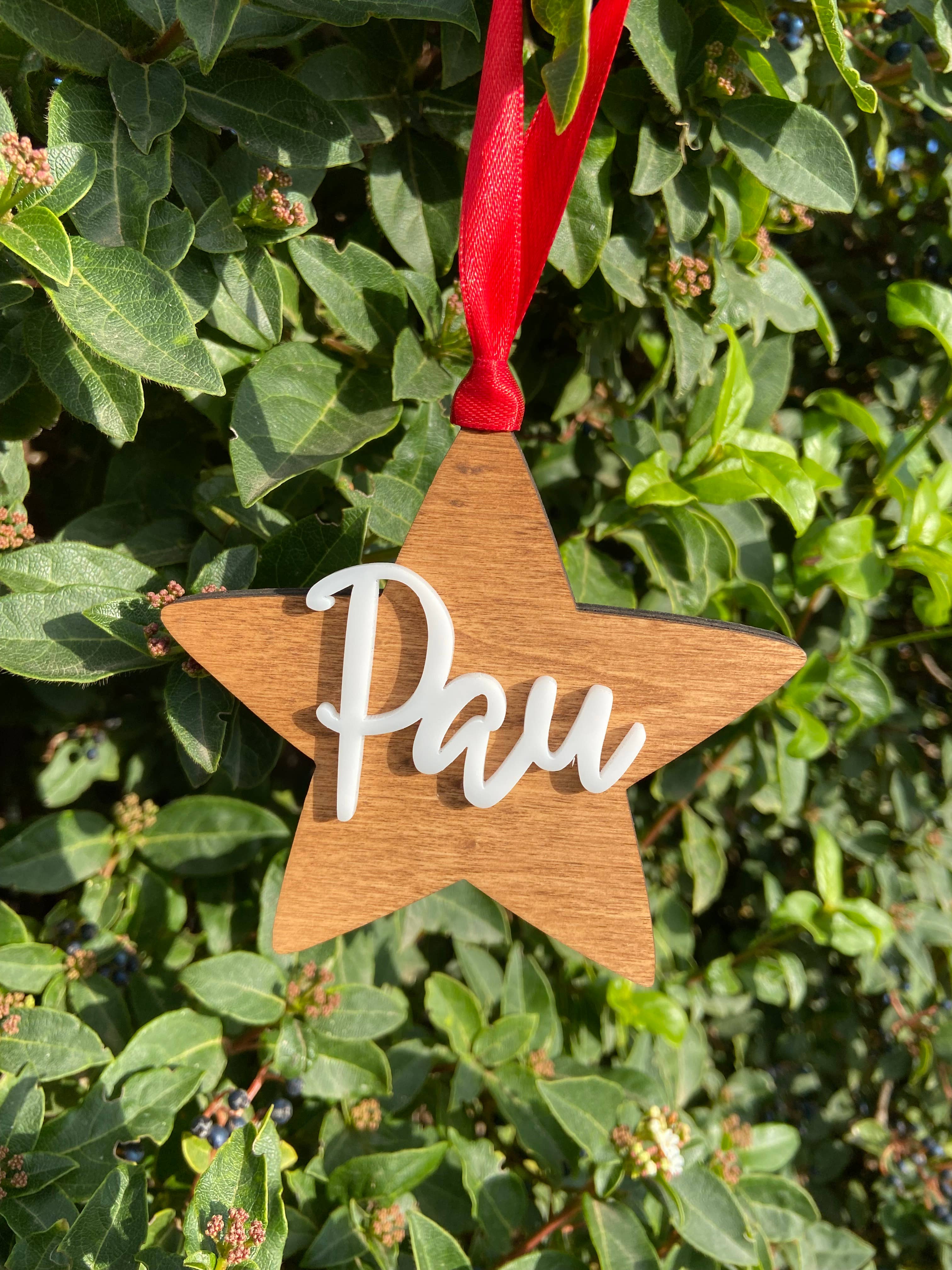 Fustik - Wholesale Ornament - Customized Wooden Star With Name0