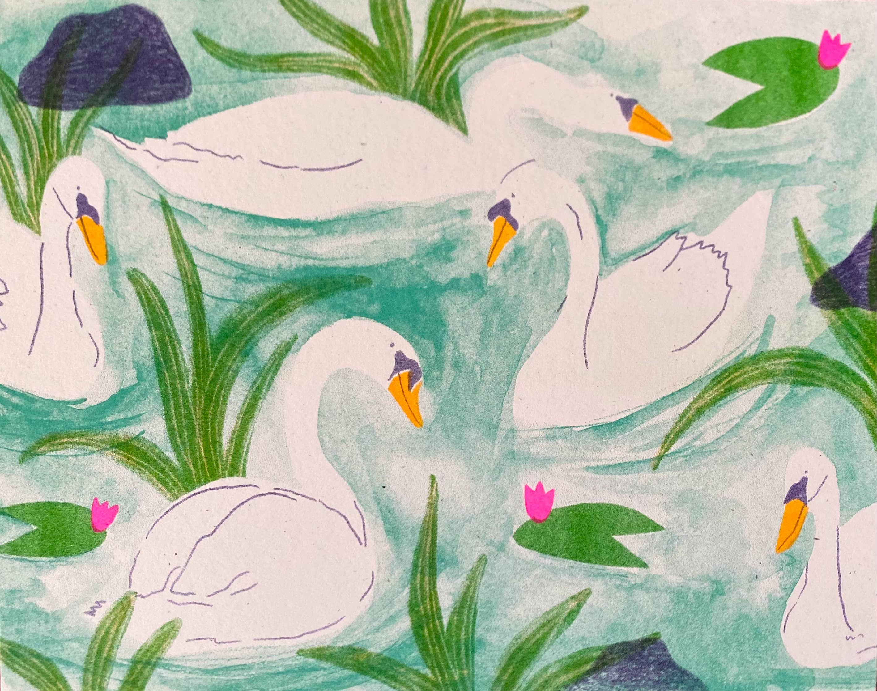 mad dog studio - Wholesale Art Print - Swan Pond1