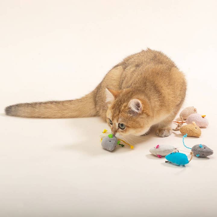 PAWPAWwholesale - Wholesale Pet Toy - Cat - Plush Mouse Cat Toys Set-Durable & Chew-Resistant_CWMM679610