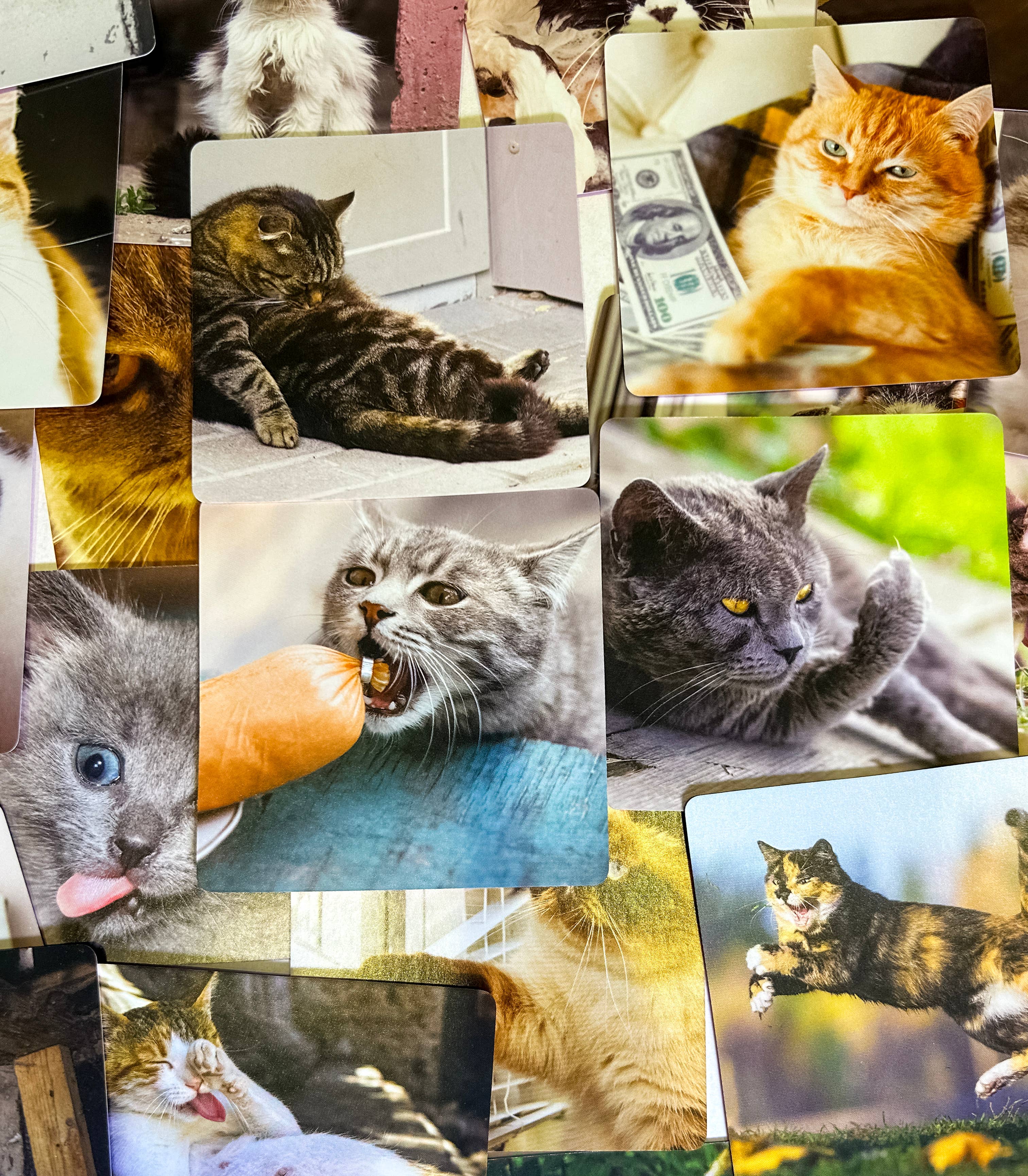 Dyce Games - Vente Jeux de cartes - BAD KITTY : Le jeu de société PURRRRPERFECT + extension After Dark3