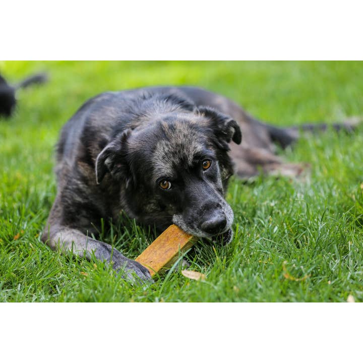 Healthy Dog Chews - Wholesale Pet Treats - Dog - Yak Cheese Chews Bulk MD/LG 1LB (ZDUR0101MD)