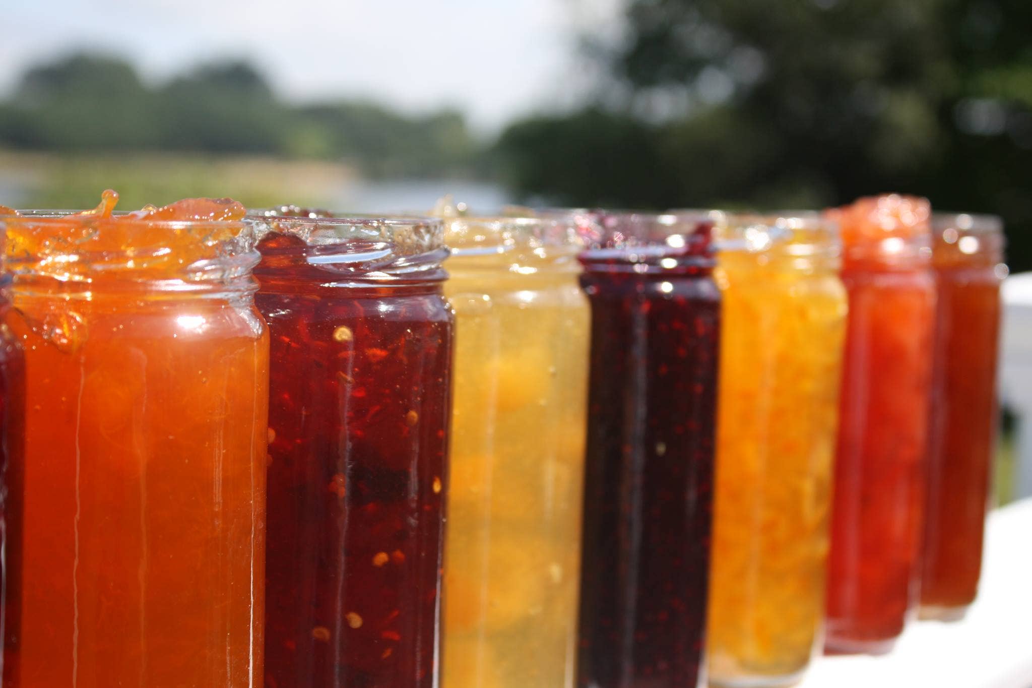 New England Cranberry Co - Wholesale Jam/Jelly - R.E. Kimball Marmalade 10oz - 7 varieties!1