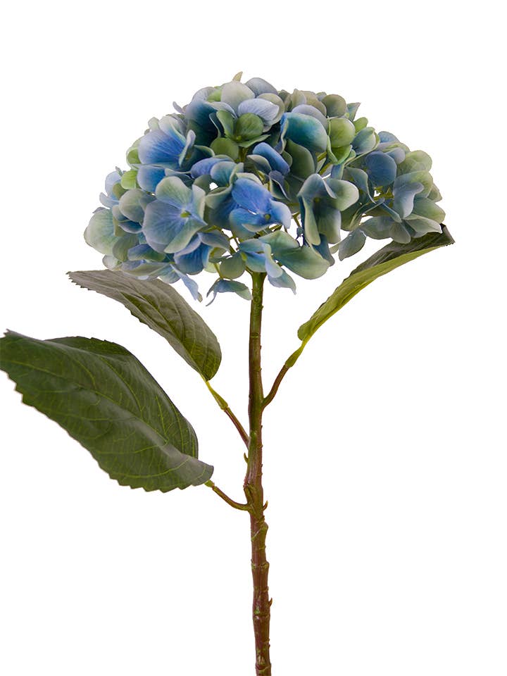 21" WATERCOLOR MOPHEAD HYDRANGEA for wholesale by American Best