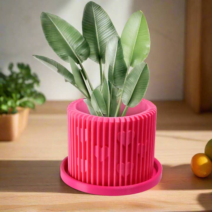 Modern Heart-Shaped Planter with Drainage & Saucer – Unique Valentine’s Day Gift for Plant Lovers, 3d Printed Planter Home Hosting Decor, for wholesale by Rosebud Homegoods