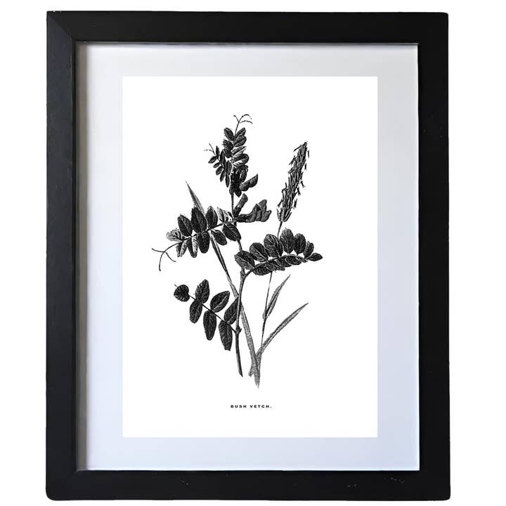 Coultura – wholesale Gallery wall set – Framed Vintage Botanical Floral Art Prints: Set Of Four2