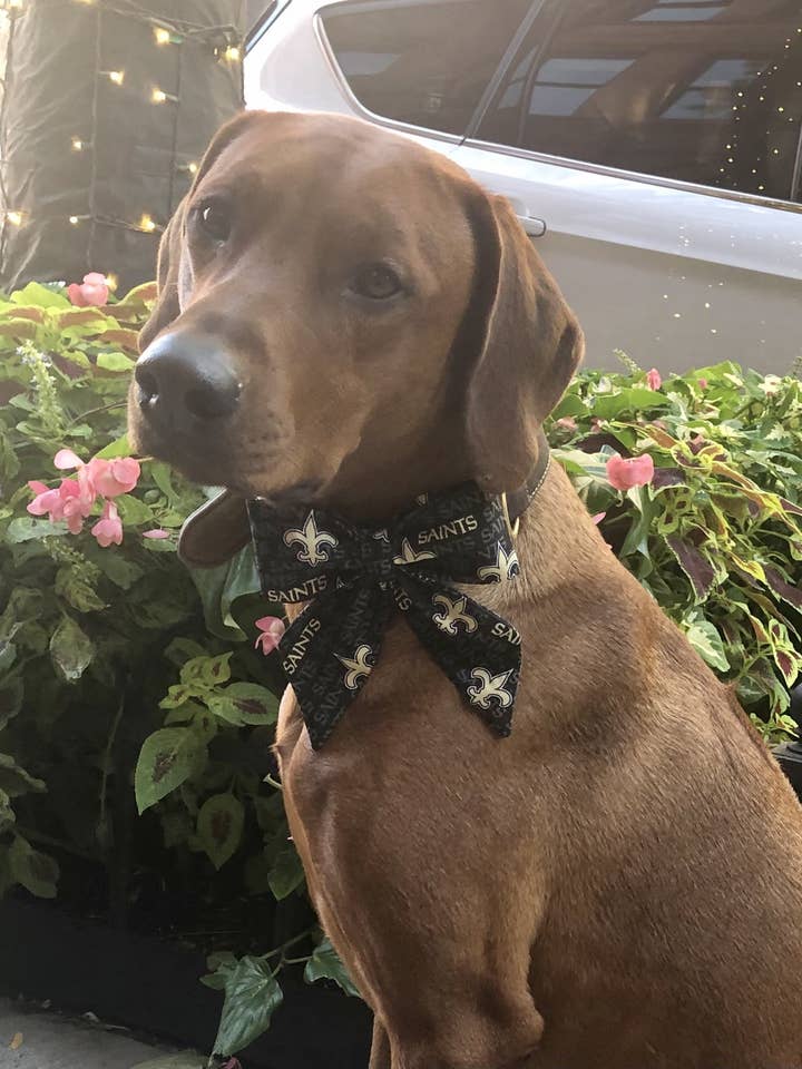 Arc de marin des Saints de la Nouvelle-Orléans - Collection Football pour la vente par Koa's Ruff Life