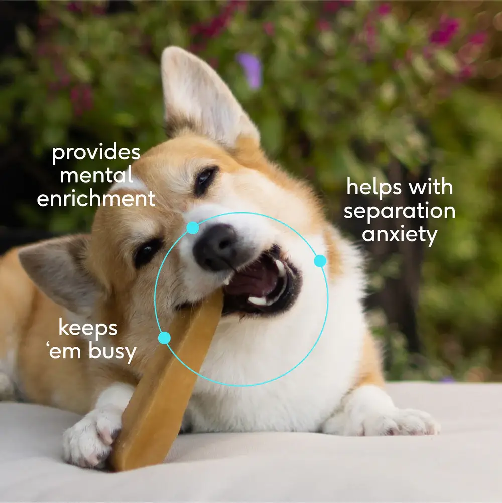 Native Pet - Wholesale Pet Treats - Dog - Yak Dental Chews , Himalayan Cheese Dog Treats6