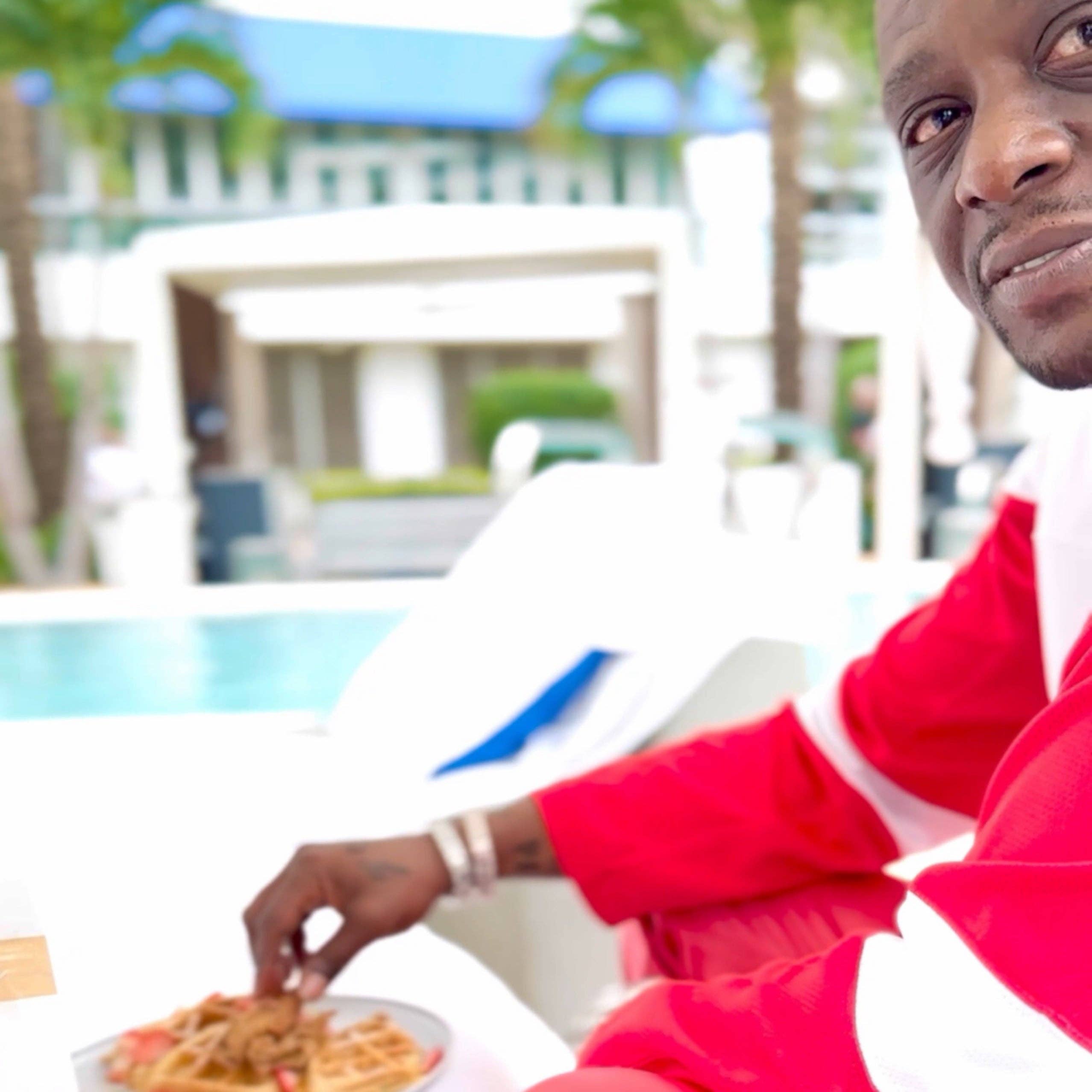 Pancakes From Scratch - Vente Préparation pour pancakes - Mélange végétalien au poulet et aux gaufres Crêpes From Scratch1