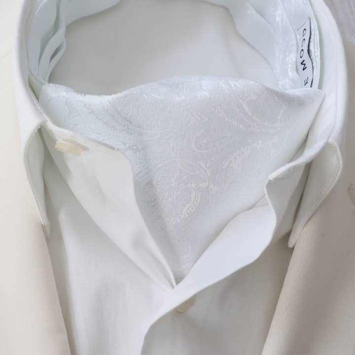 Satin Paisley White Ascot Tie for wholesale by Tie Mood