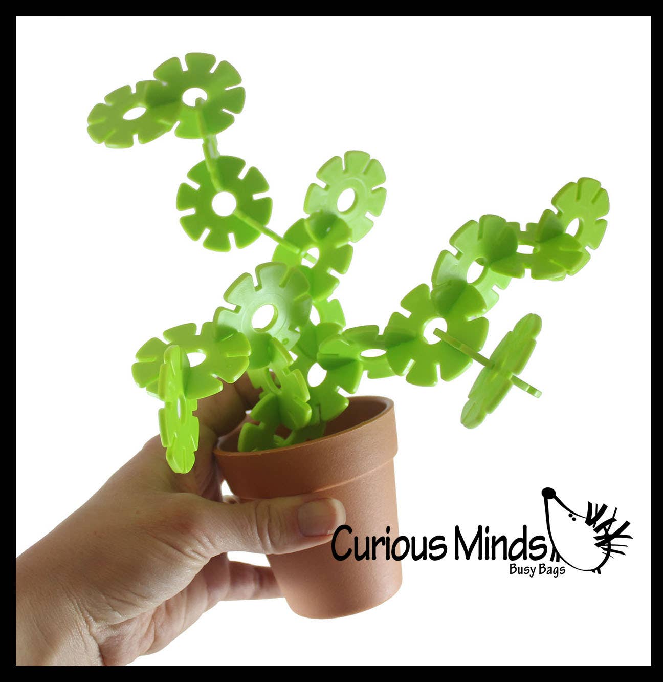 Curious Minds Toys – wholesale Building set – Child – Succulant Sculpture Cactus Connecting Shapes Building Set -1