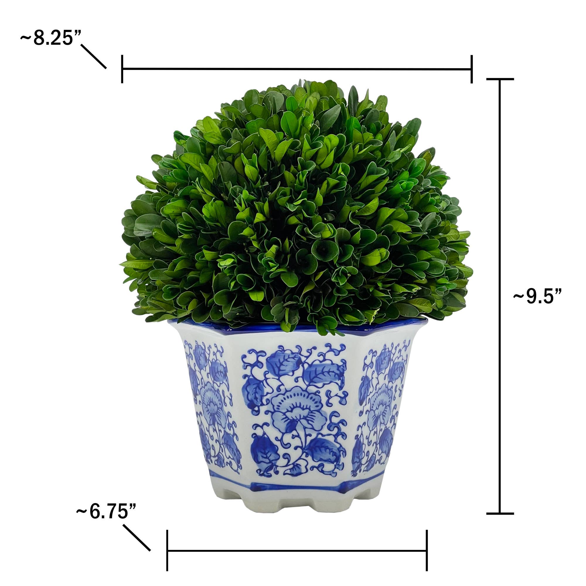 Galt International Company - Wholesale Artificial Plant - Boxwood Ball Topiary in Hexagon Blue & White Ceramic Pot2