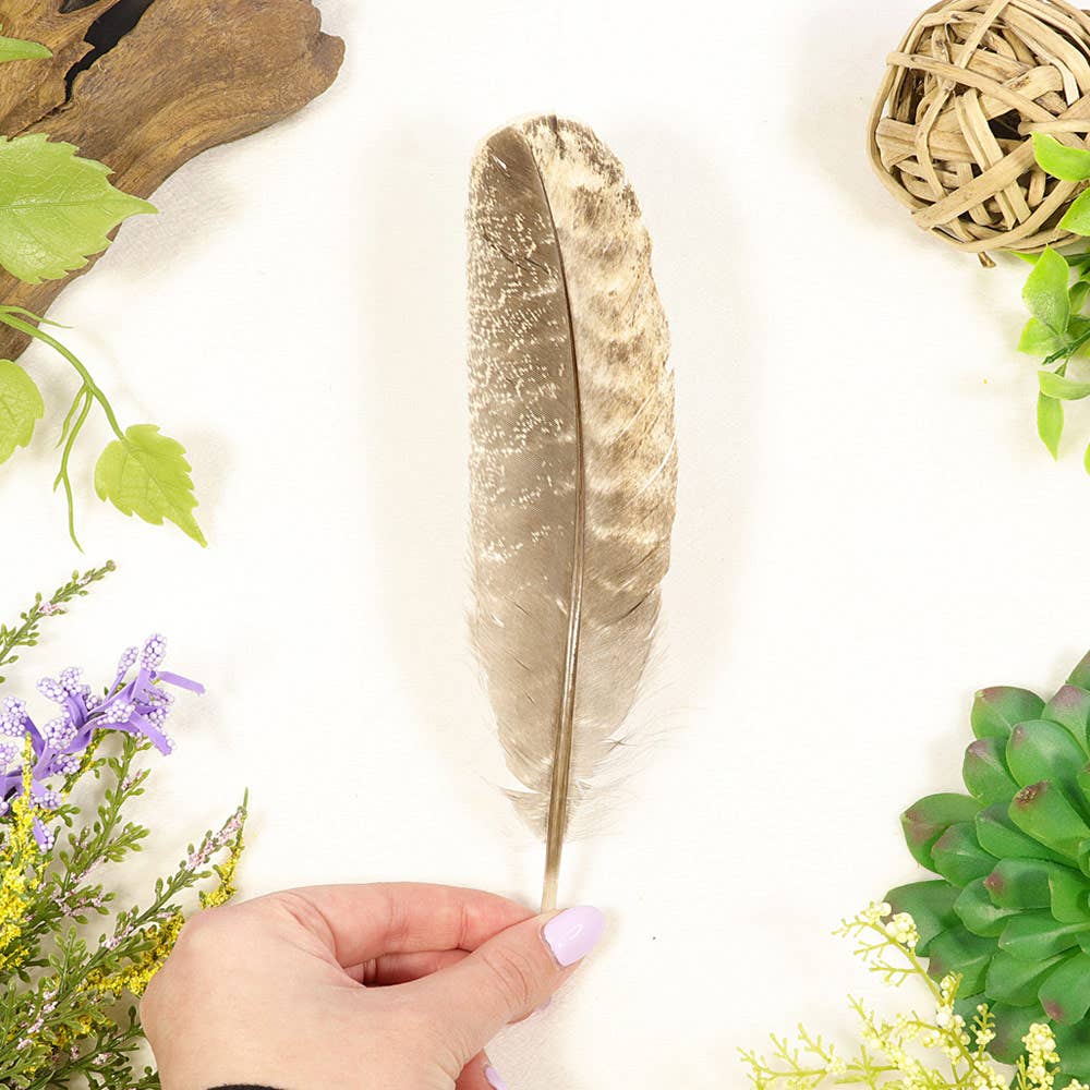 Natures Artifacts Inc - Wholesale Sage Bundle - Smudging Turkey Feather1