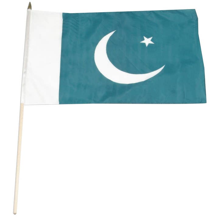 Pakistan 12in x 18in Mounted Flag for wholesale by 1-800 Flags