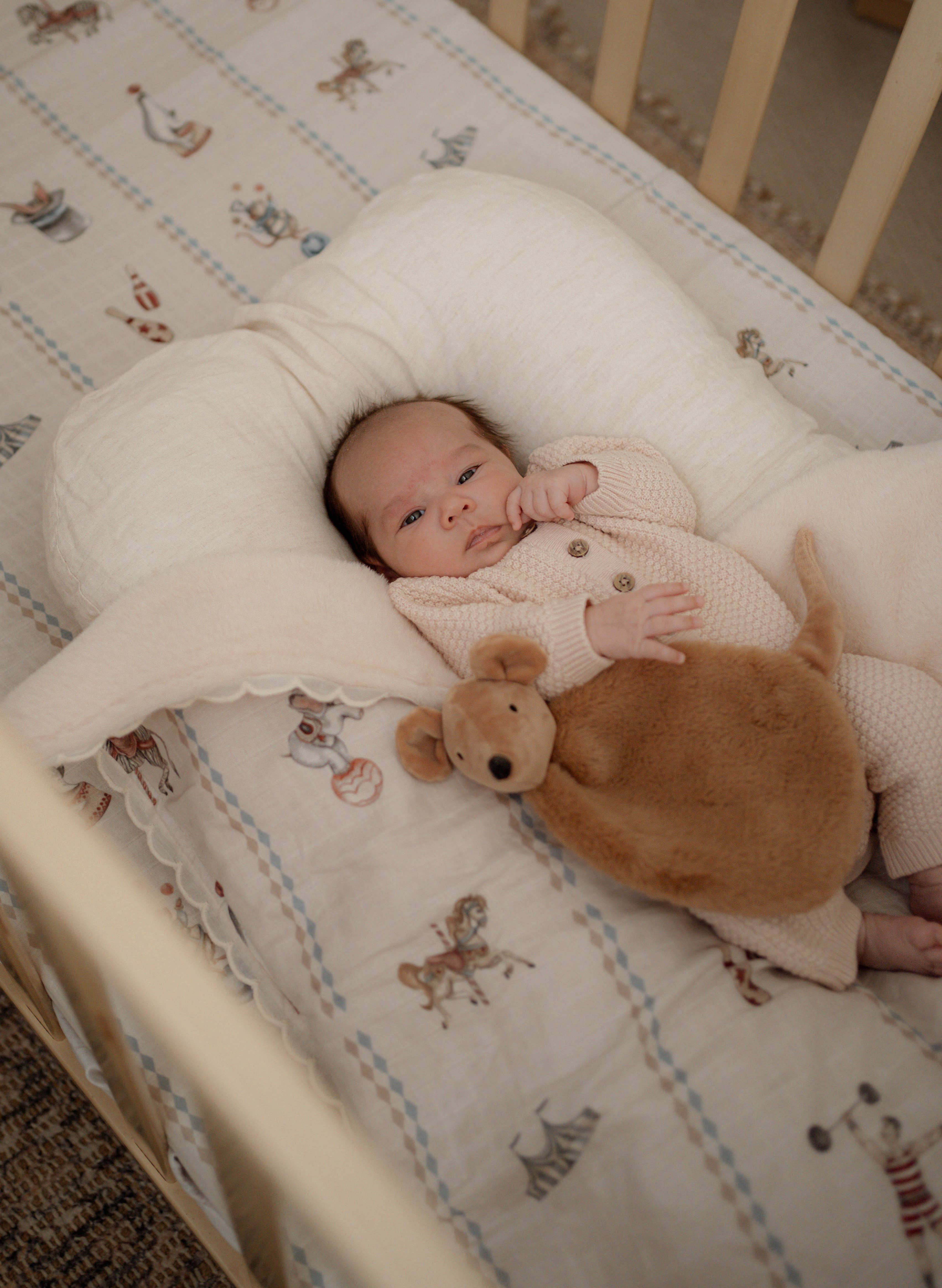 Pop Ya Tot - Wholesale Security/Cuddle Blanket - Baby - Squeaky the Sweet Comforter Toy1