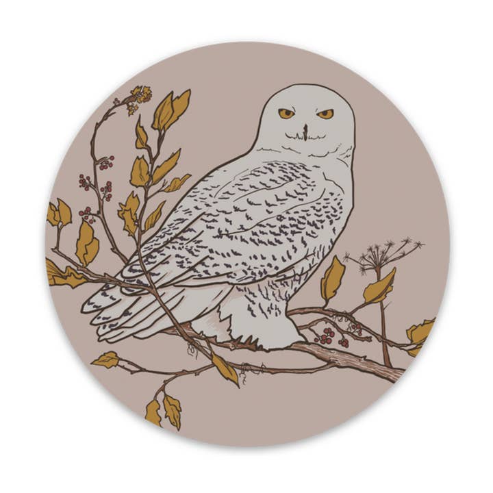 Adhesivo de vinilo de búho nevado para venta al por mayor de Corvidae drawings & designs