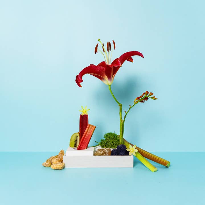 Rhubarb + Sweet Cream for wholesale by Lark Artisan Supply