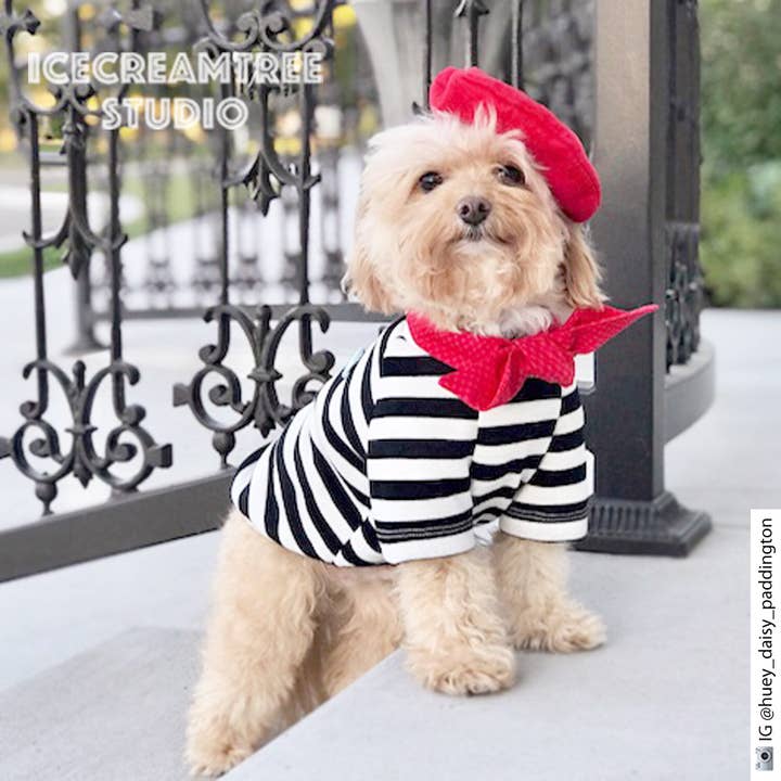 Icecreamtree Studio - Wholesale Pet Costume - Cat/Dog - French Look Outfit Scarf and Black Stripe Top Set - Dog Cat