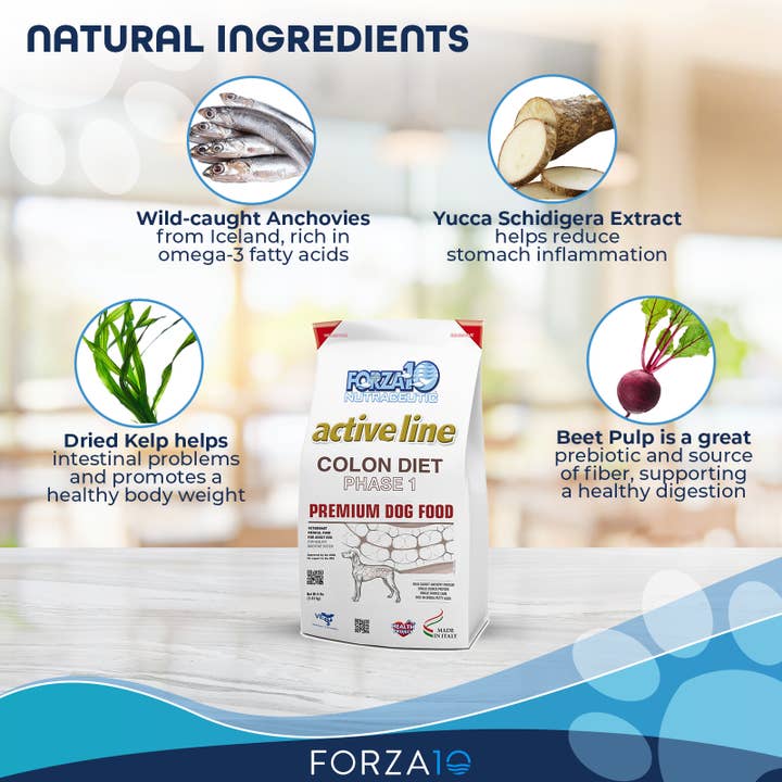 Forza10 Pet Food - Wholesale Pet Food - Dog - Forza10 Active Colon Support Diet Phase 1 Dry Dog Food