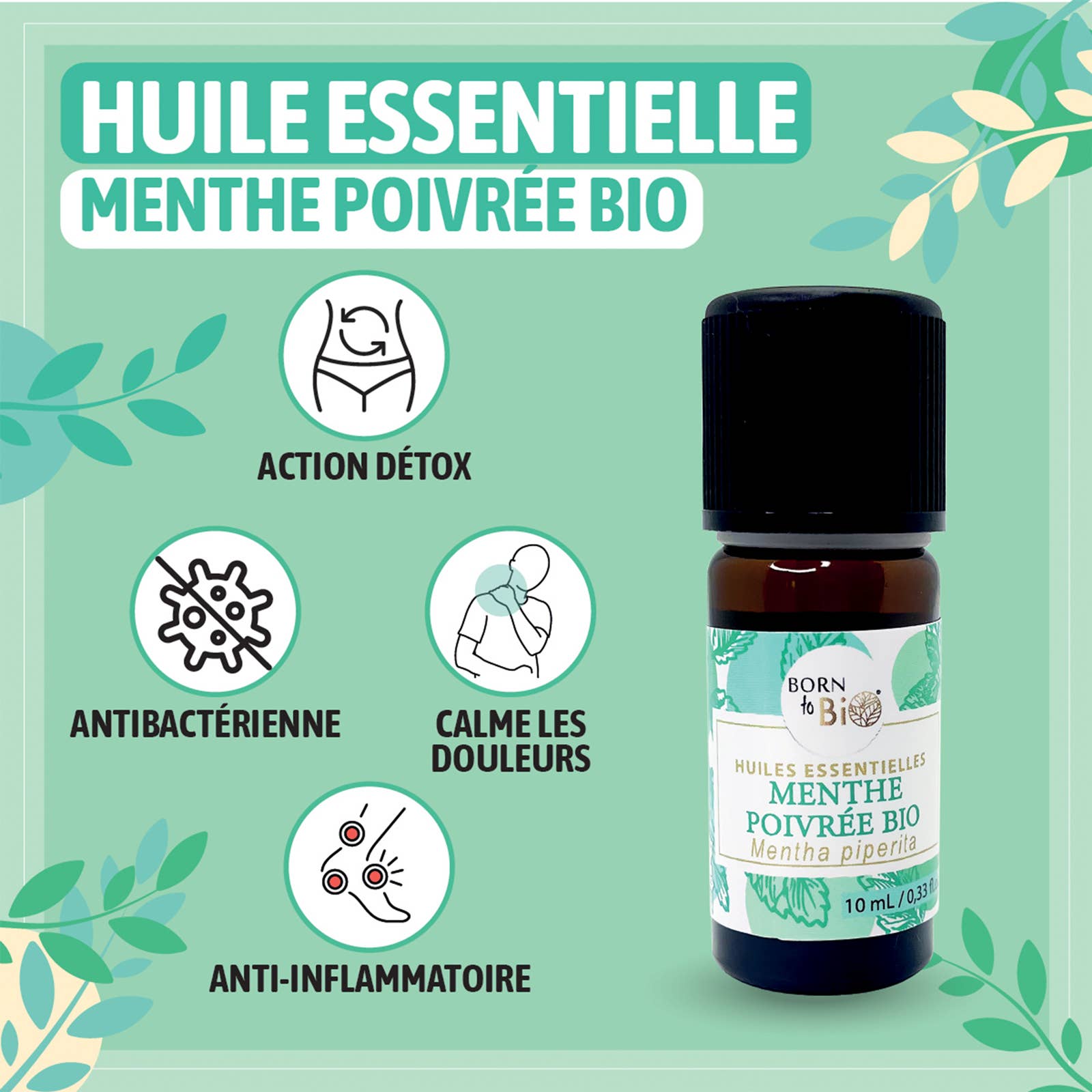 Les Laboratoires Bio Seasons – wholesale Essential oil – Organic peppermint essential oil 10 ml2