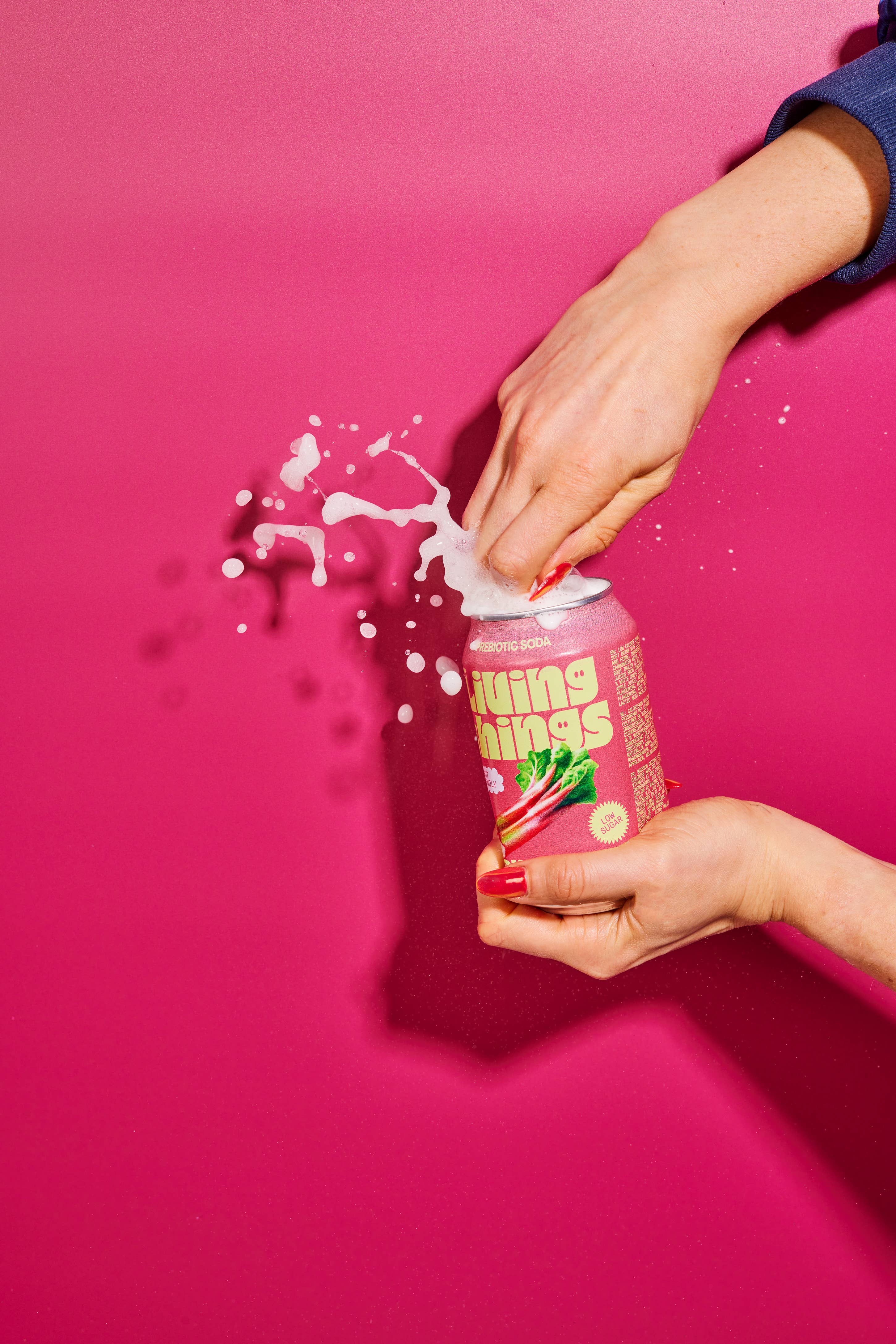 Living Things - Vendita all'ingrosso Bibite/bevande gassate - Soda Prebiotica al Rabarbaro e Mela - Living Things2