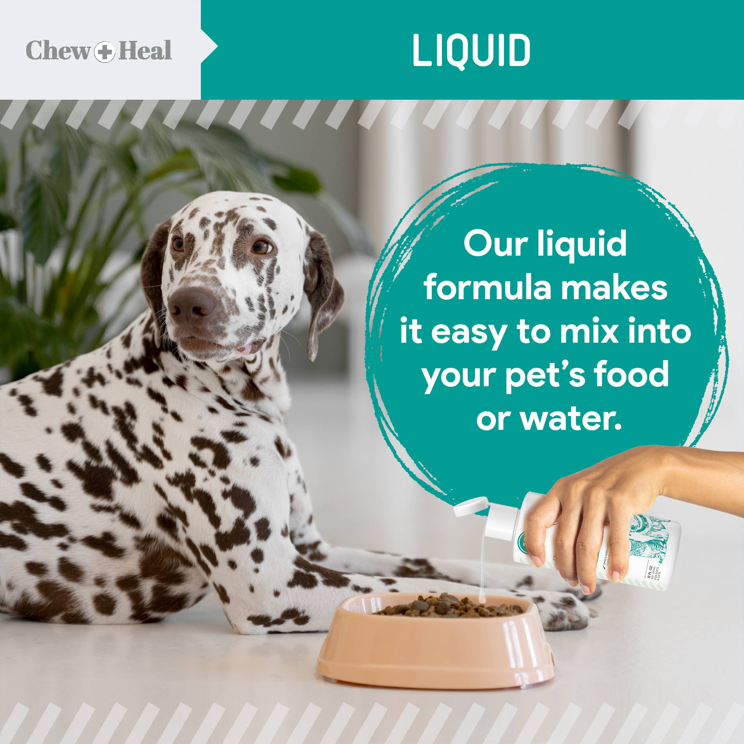 Chew + Heal – wholesale Kosttillskott för husdjur - Hund – Stop The Worms Avmaskningsvätska för Valpar & Kattungar6