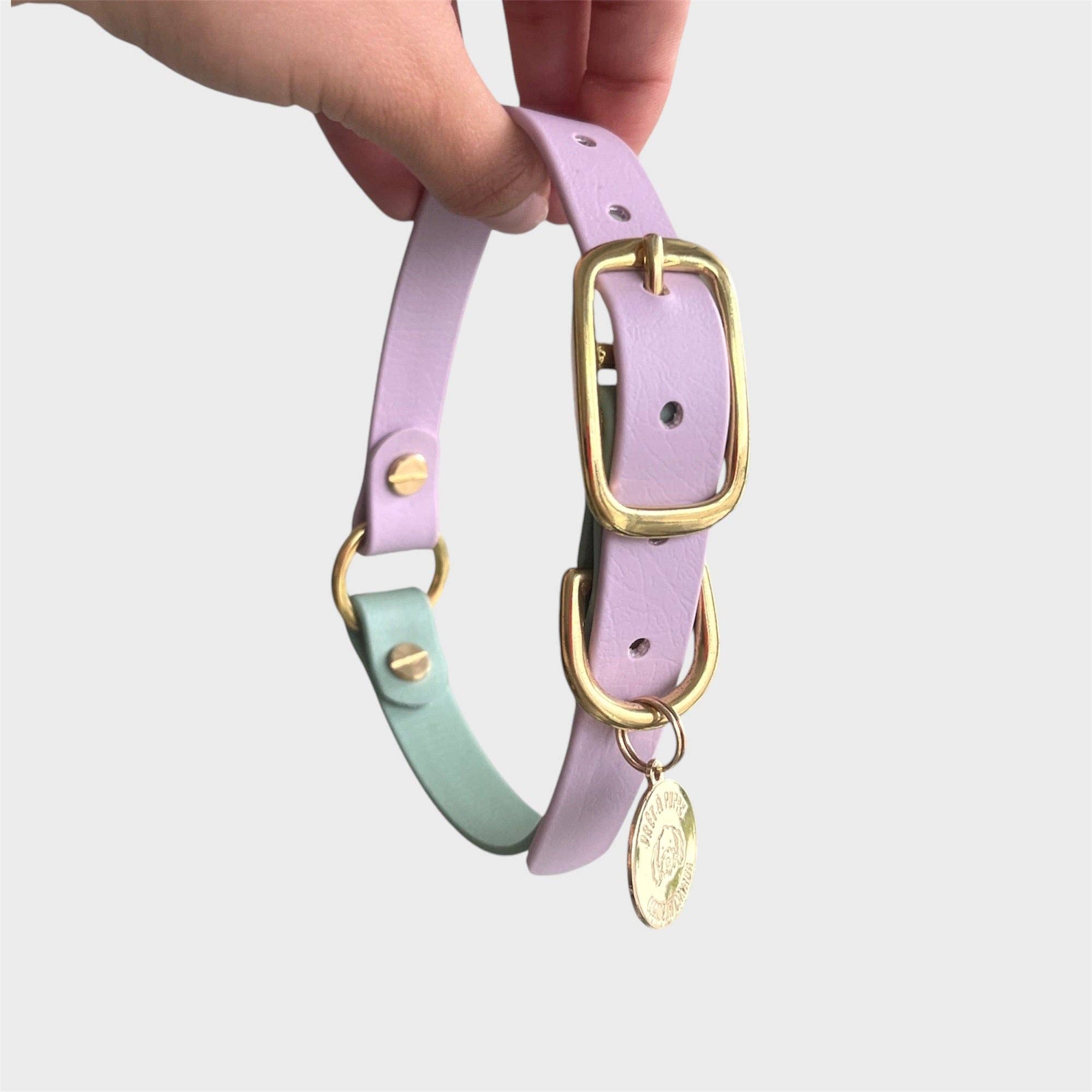 PRÊT-À-PUPPY - Vente Collier – chien - Collier original : créez le vôtre11