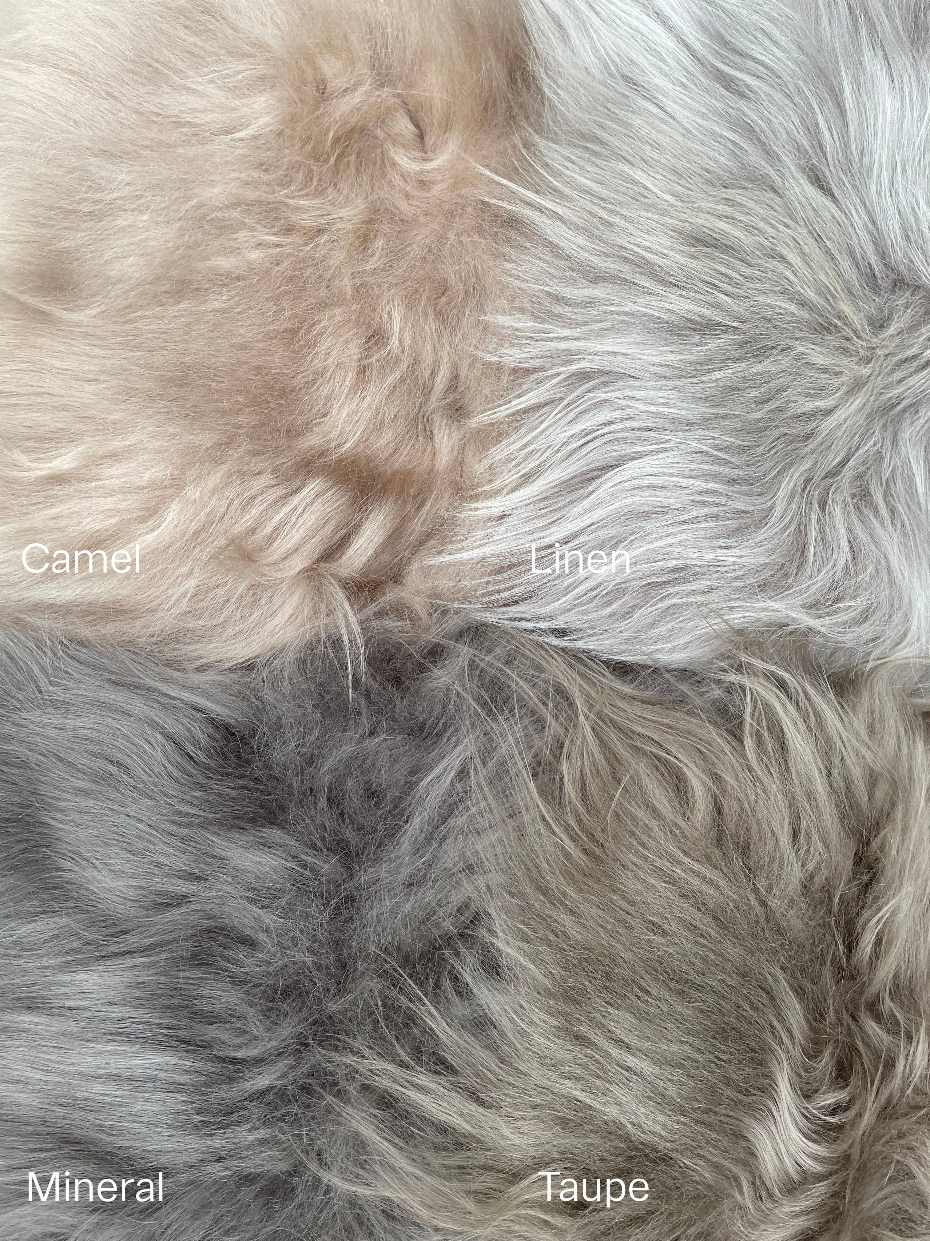Black Sheep (White Light) - Wholesale Area Rug - Shorn Nude Icelandic Sheepskin Throw Rug4
