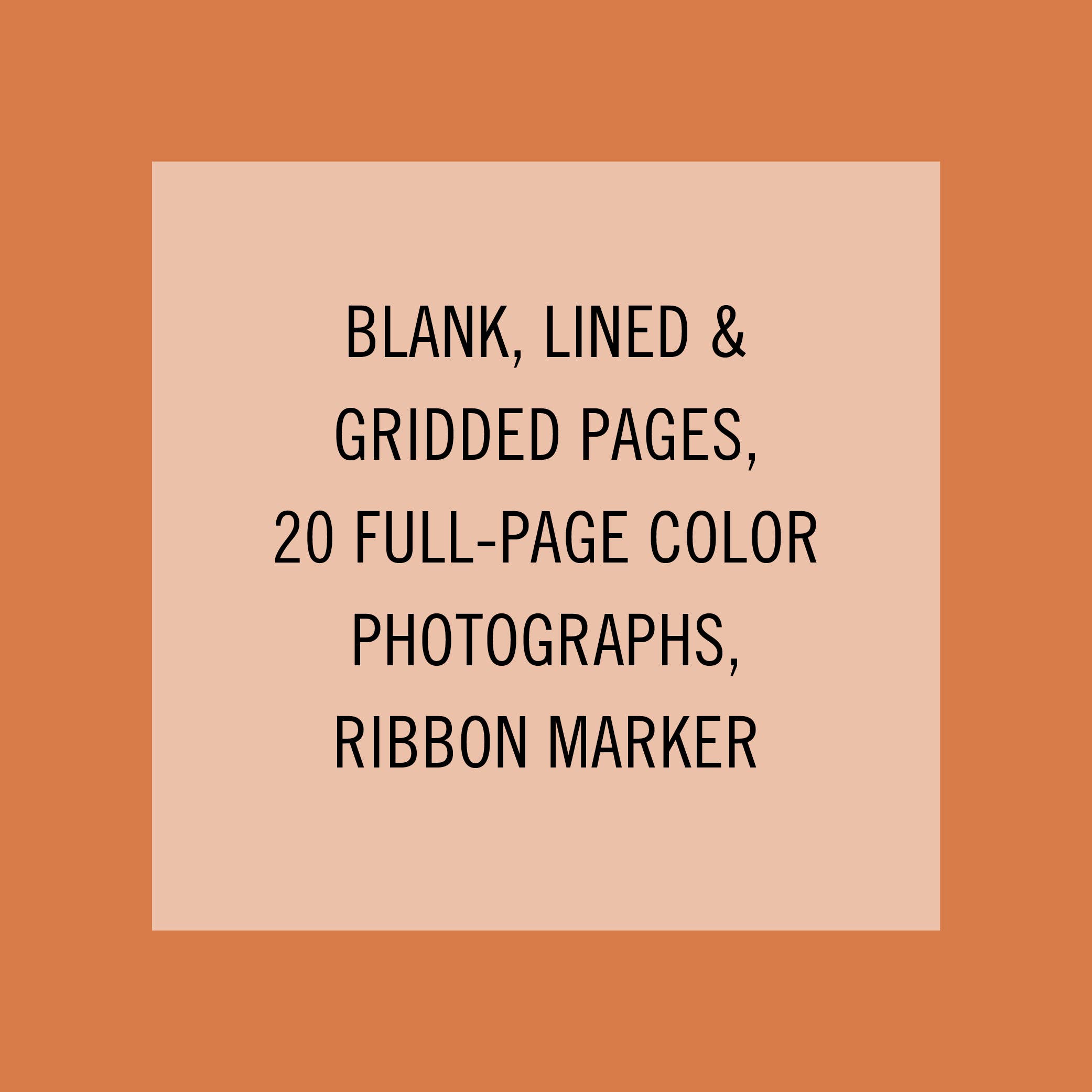 Chronicle Books - Wholesale Journal/Diary - Deep Dark Forest Mushroom Journal3