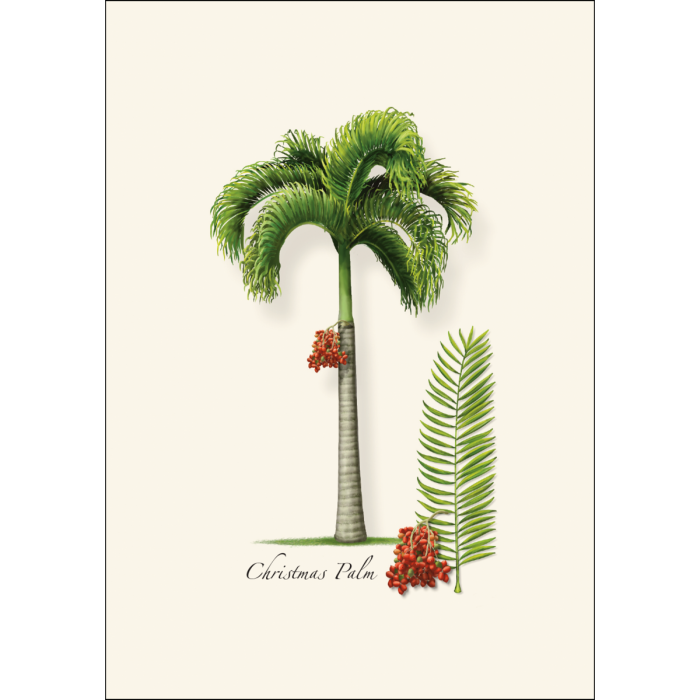 Earth Sky + Water - Vente Cartes de Noël - Palme de Noël1