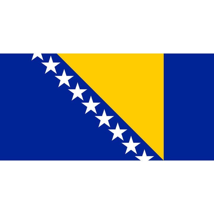 Giant Bosnia Herzegovina 8'x5' for wholesale by Worldwide Flags Ltd