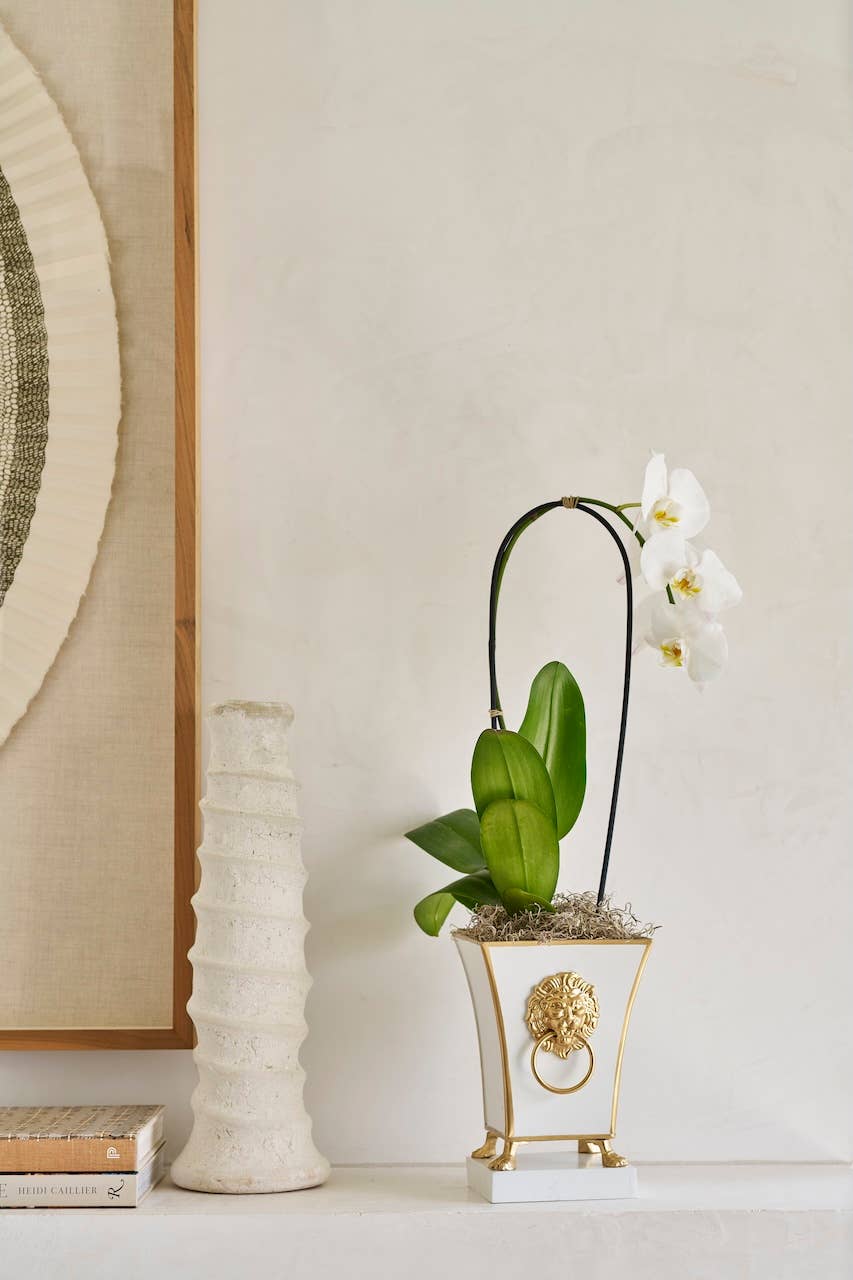 Jaye's Studio - Wholesale Plant Pot - Paws & Claws Fluted Square Cachepot Planter8