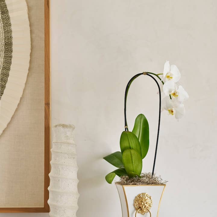 Jaye's Studio - Wholesale Plant Pot - Paws & Claws Fluted Square Cachepot Planter8