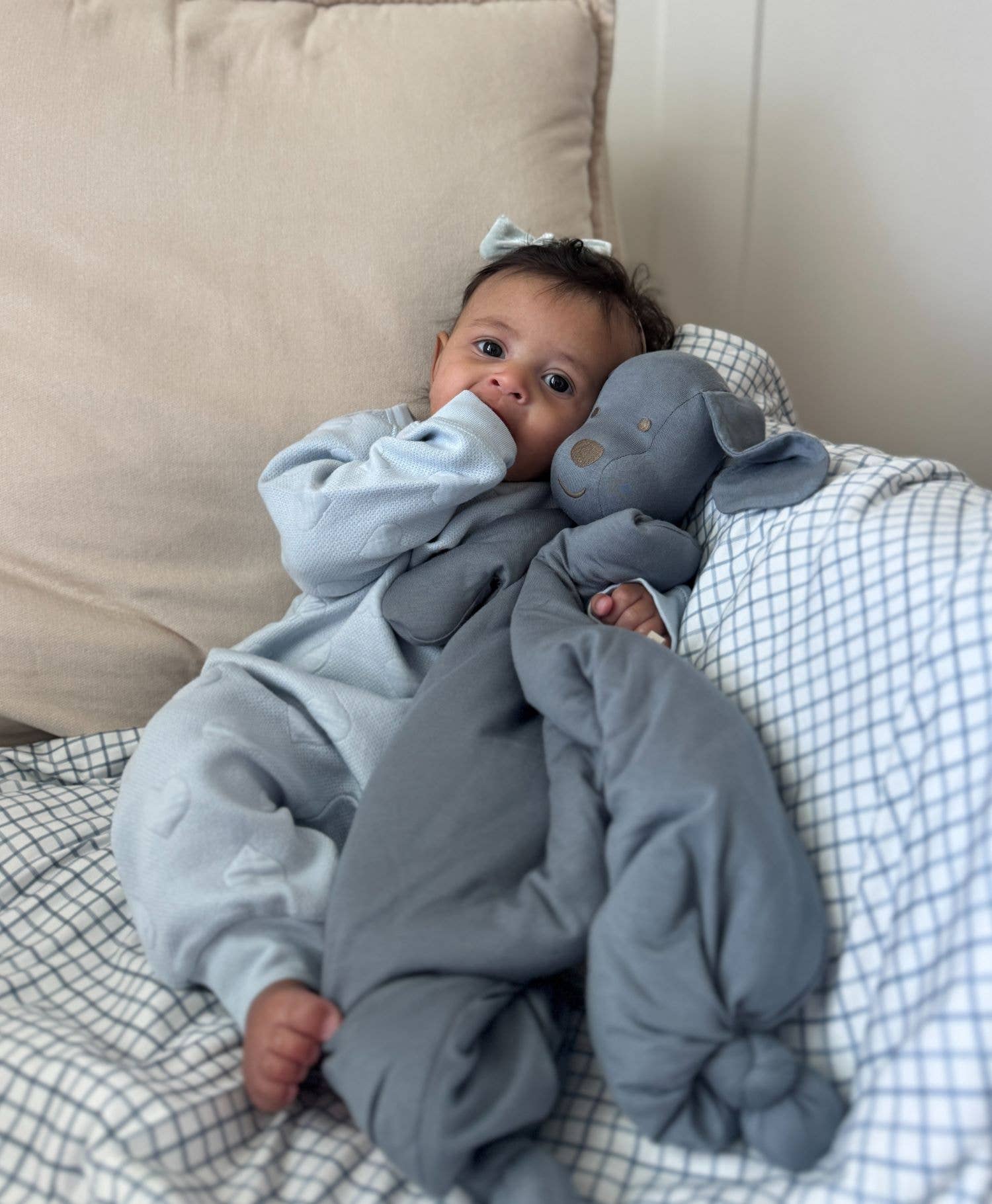 gunamuna - Wholesale Security/Cuddle Blanket - Baby - SS26 LOVEY PUP6