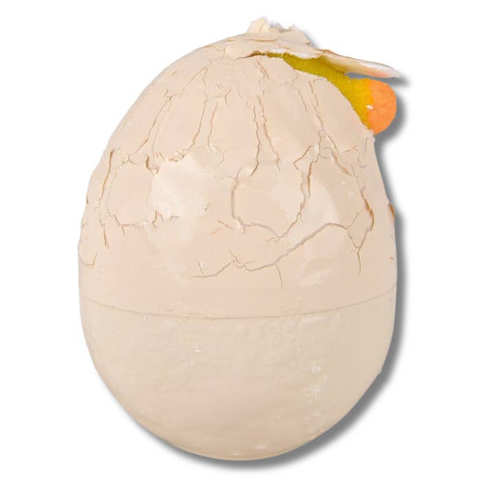 JSBlueRidge Toys - Wholesale Fidget toy – Kids - Small Hatch & Grow Chick Egg Kids Toy3