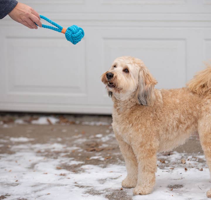 Pet Palette Distribution - Wholesale Pet Rope Toy - Dog - ThoozyPet Ball Tug Rope Dog Toy with Handle Yellow 3"3