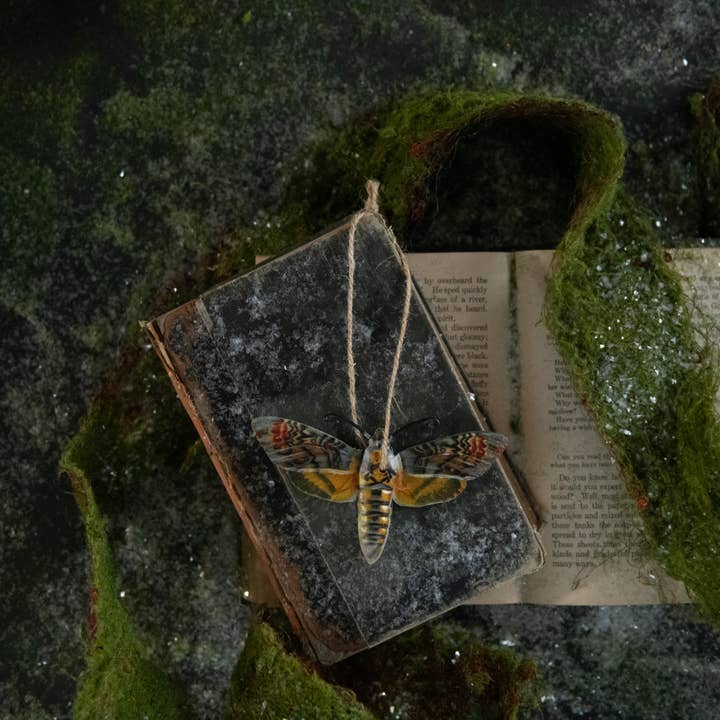 Ragon House - Wholesale Ornament - HAWK MOTH ORNAMENT