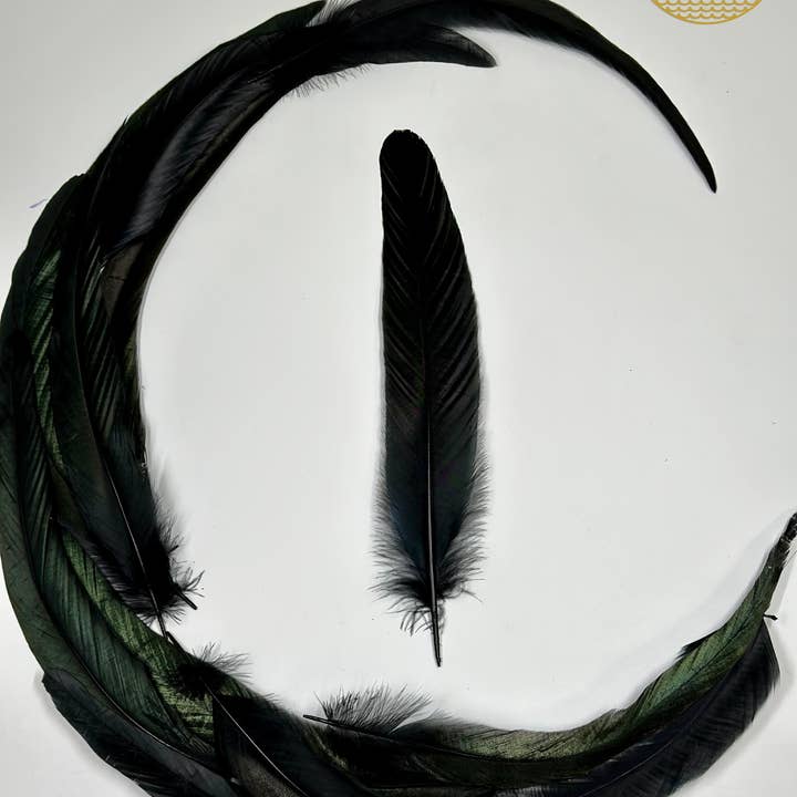 Faiza Naturals - Wholesale Sage bundle - Black Feathers for Smudging4