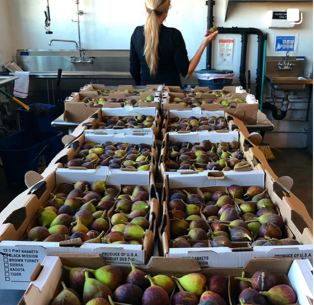 Josephine's Feast - Wholesale Jam/Jelly - No Added Sugar Turkish Fig Spread1