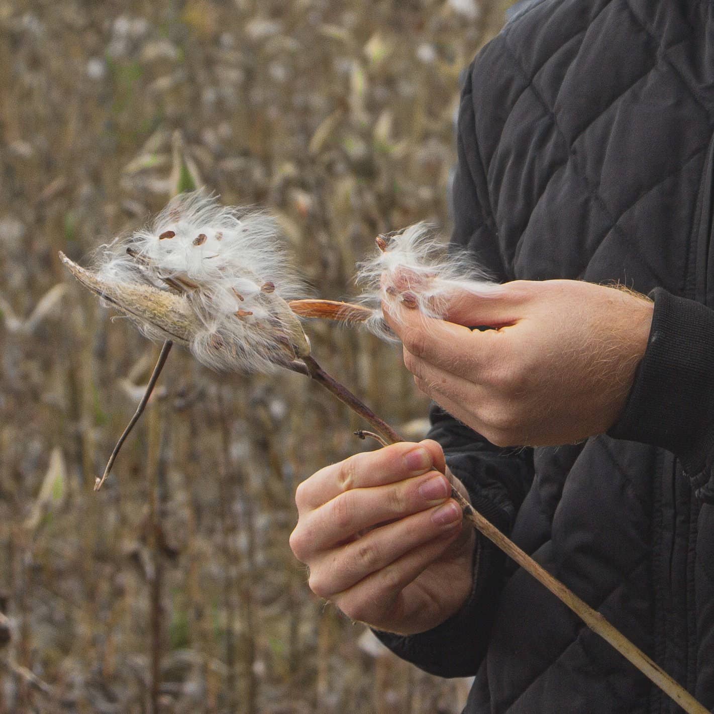 Lasclay - Vente Sac/boîte repas - Sac repas isotherme en soie d'asclépiade / Boîte à lunch9