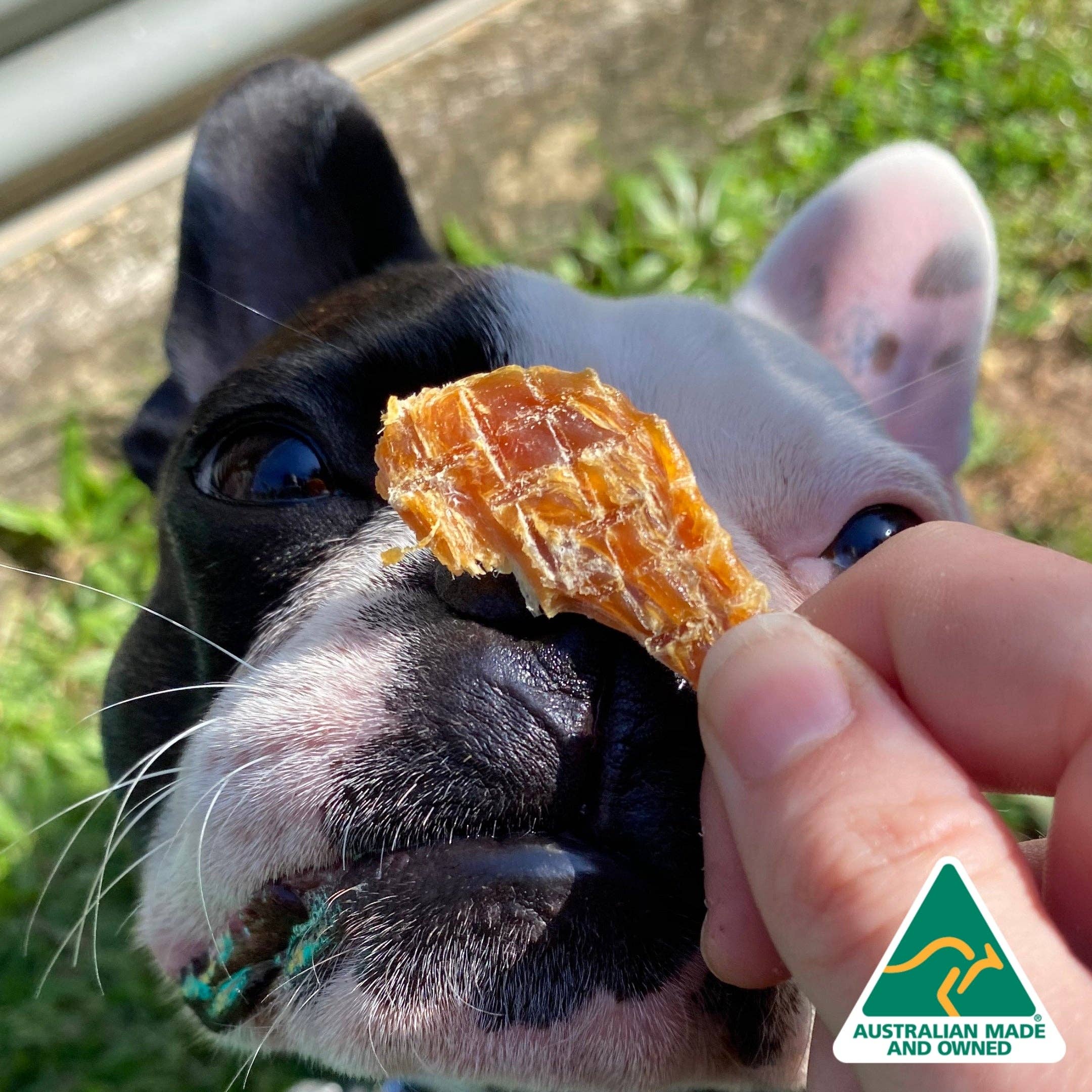 Rover Pet Products - Wholesale Pet Treats - Dog - Roast Chicken Dinner - Chicken Breast Jerky2