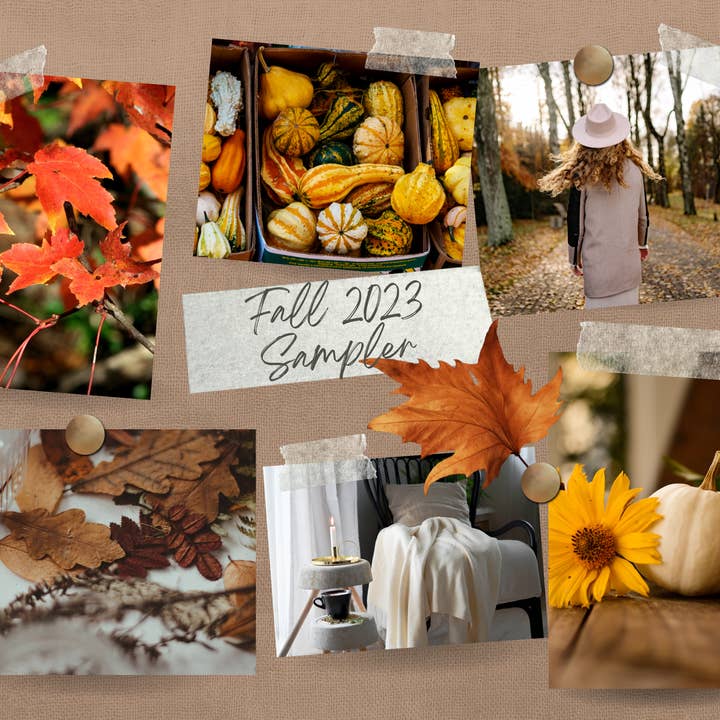Peach State Candle Supply - Wholesale Fragrance Oil - Fall/Autumn 2023 Sampler Pack Phase 1