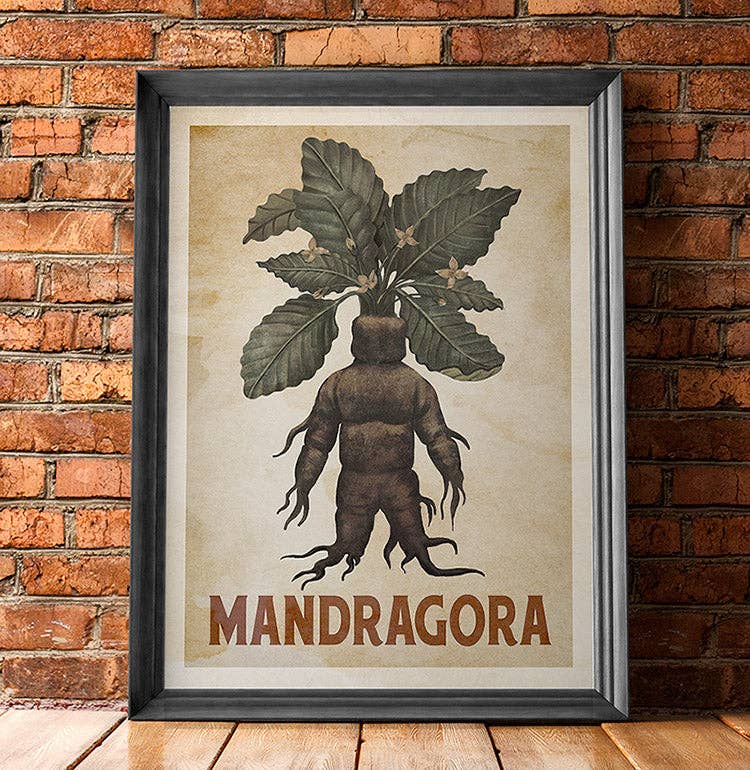 WindowShopGal - Wholesale Art Print - Mandragora Mandrake Poster - Heritage (for Harry Potter fans)3