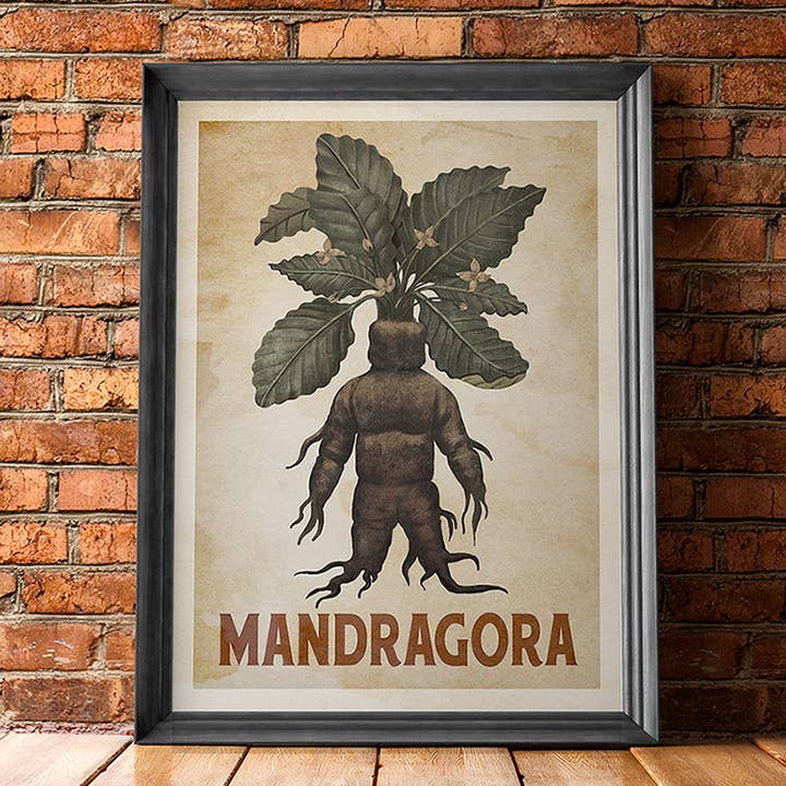 WindowShopGal - Wholesale Art Print - Mandragora Mandrake Poster - Heritage (for Harry Potter fans)3