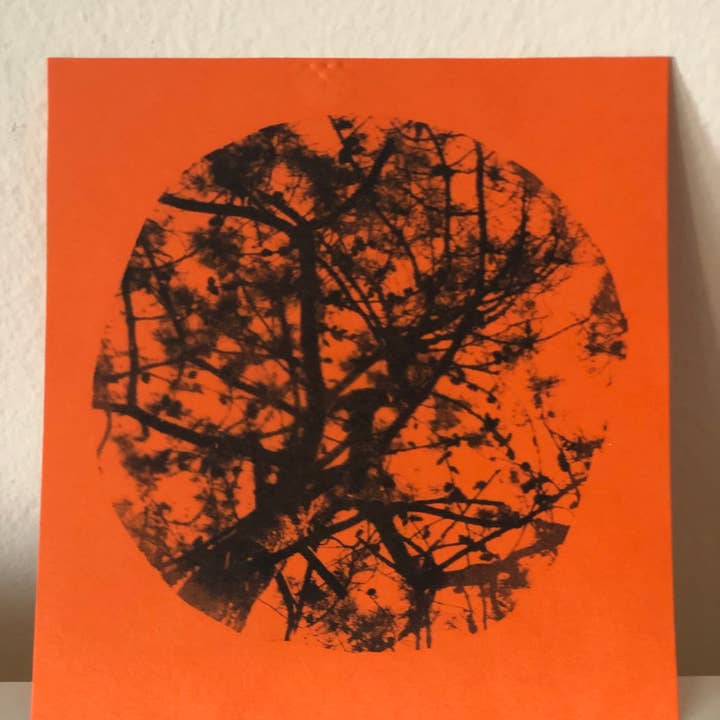 Cianotipia Estudio - Wholesale Art Print - Cyanotype nature1