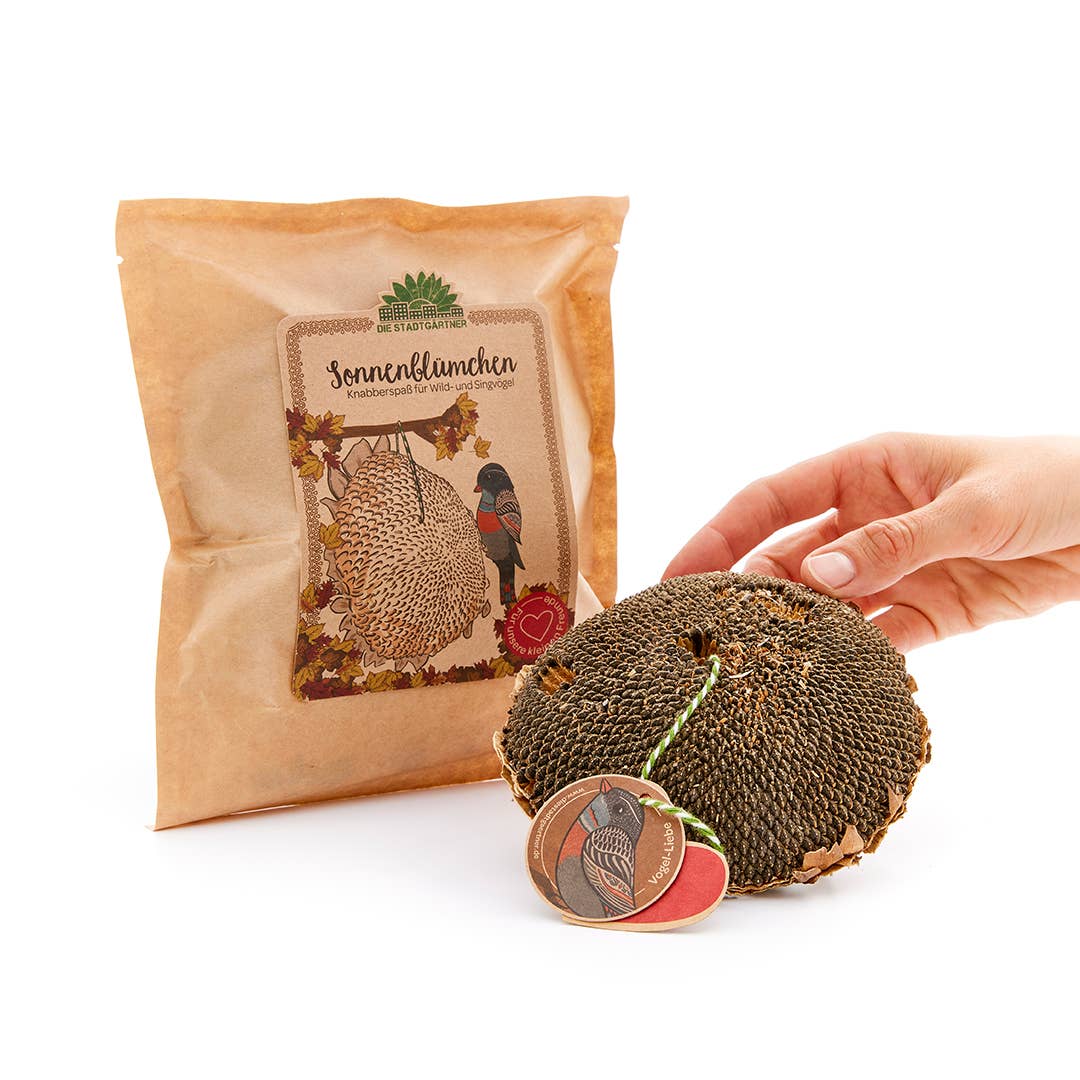 TDJ Stadtgärtner GmbH - Wholesale Bird Feeder - sunflowers3