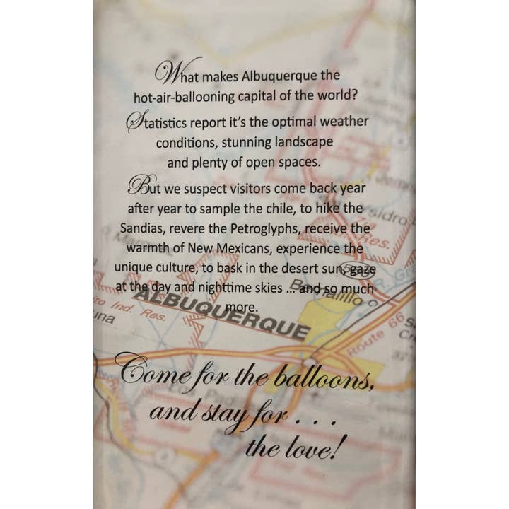 Carol Young Silver – Großhandel Kette mit Anhänger/Charm – Heißluftballon-Halskette Schmuck5