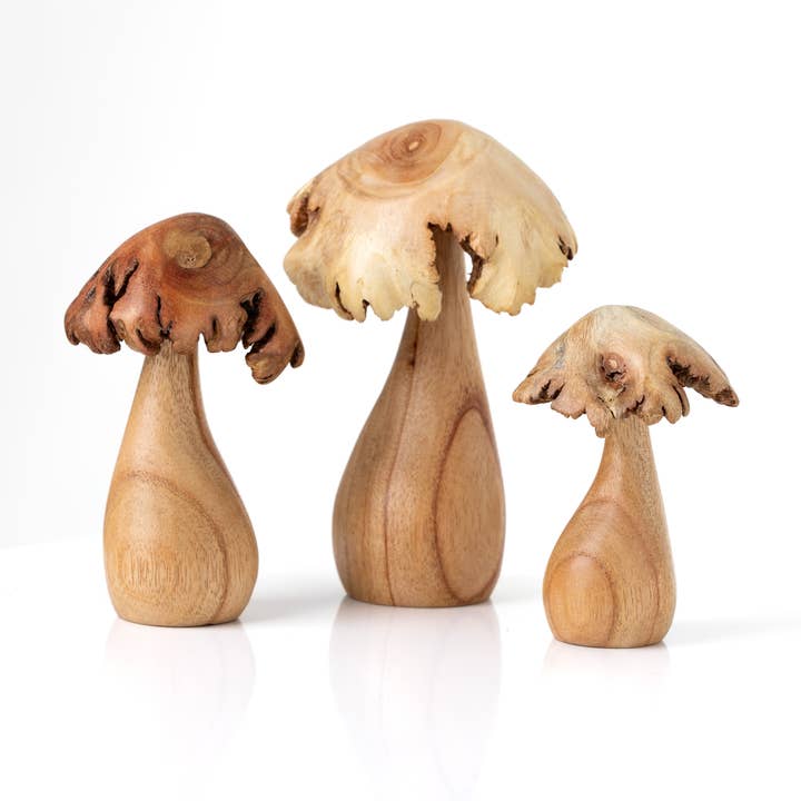 3pc Trippy Mushroom Set with Parasite Wood Top for wholesale by Cohasset Gifts