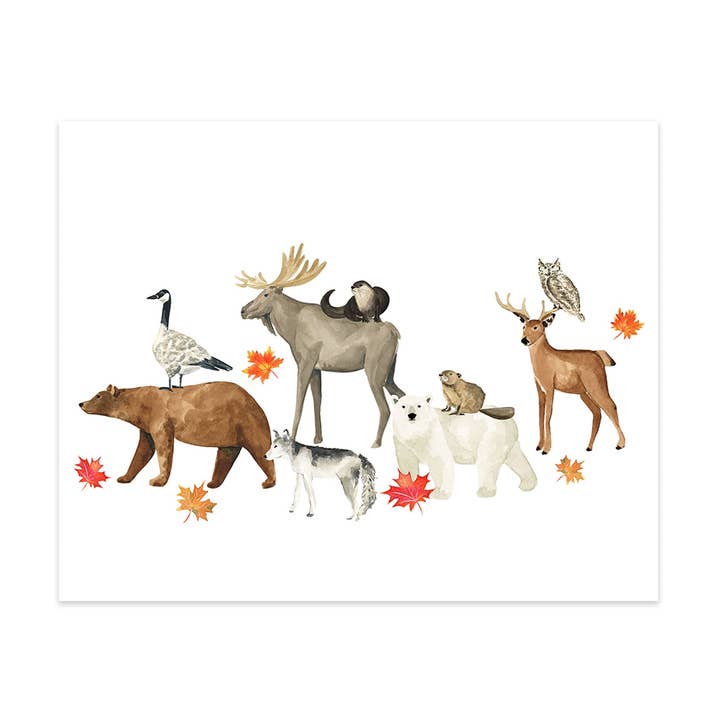 Animals of Canada II Art Print for wholesale by Almeida Illustrations