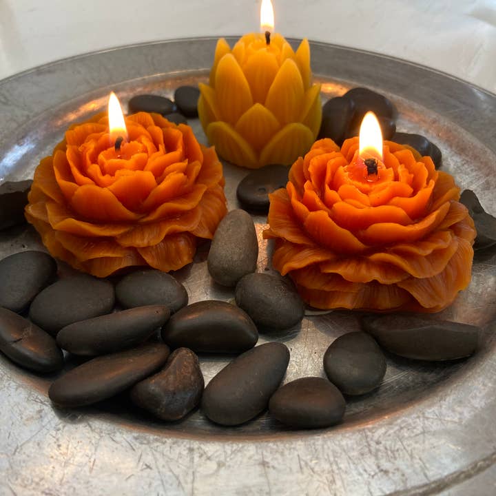 Live Light Beeswax Candles - Wholesale Novelty Candle - Flower Bloom5